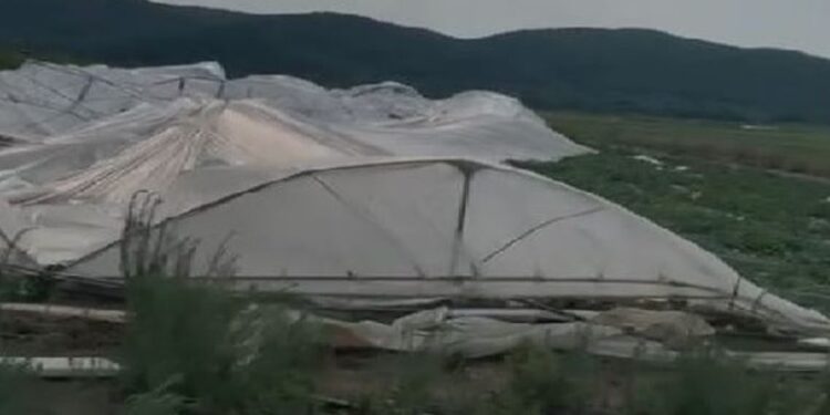 Stuhia në Elbasan, dëmton thuajse totalisht serat dhe të mbjellat e banorëve në zonën e…