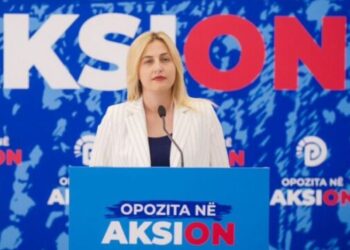 Zhupa: Qeveria po i masakron bizneset me gjoba në kulmin e sezonit turistik