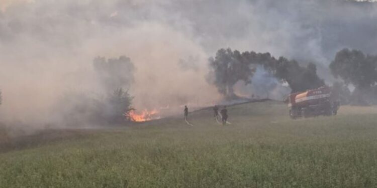 Kavajë/ Zjarr në një sipërfaqe me pemë, evakuohen banorët