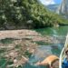 Foto/ Liqeni i Komanit mbulohet nga plehrat dhe kafshët e ngordhura