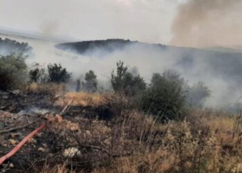 Zjarr masiv mes Ksamilit dhe Butrintit, digjet rreth 1 hektar me ullishte