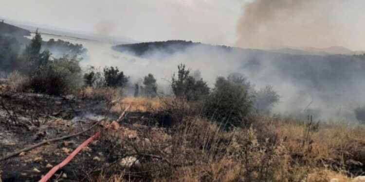 Zjarr masiv mes Ksamilit dhe Butrintit, digjet rreth 1 hektar me ullishte