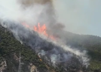 Vatra e zjarrit në Malecaj të Lezhës vijon të jetë aktive, rrezikohen disa banesa