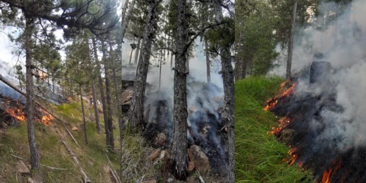 Vijon të jetë aktive vatra e zjarrit në Lurë, digjen 50 hektarë kullota dhe pyje