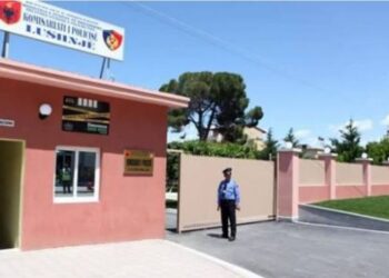 Postuan në rrjetet sociale video me natyrë seksuale me fëmijën  2 vjeç, arrestohet çifti në Lushnje