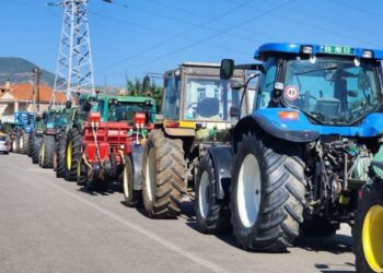 Prodhimet stok pa shitur, fermerët e Maliqit në protestë