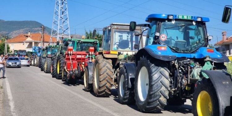 Prodhimet stok pa shitur, fermerët e Maliqit në protestë