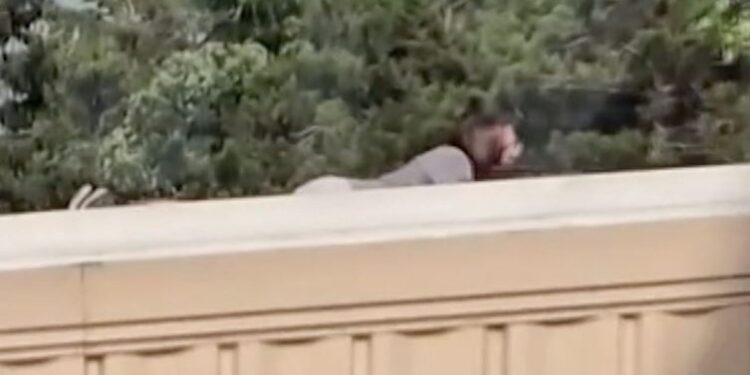 Video e re e atentatit ndaj Trump: Qytetarët e panë 20-vjeçarin me armë, policia s’reagoi