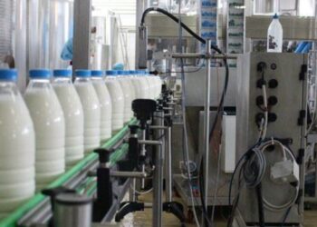 Euro po fundos qumështin shqiptar, prodhimi vendas në rënie bashkë me blegtorinë