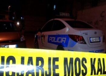 Sherr për pronat, polici plagos kushërinjtë