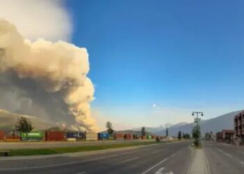 Situatë e rënduar nga zjarri në Vlorë, ajër mbytës për qytetarët dhe pushuesit