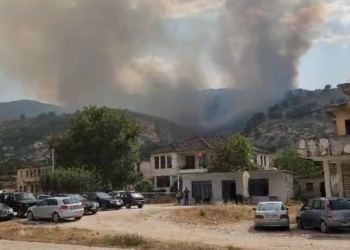 Zjarri që nisi në mal zbret mbi fshatin Sofratikë në Dropull, rrezikohen banesat