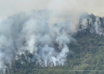 Zjarri rrezikon banesat në Bulqizë, kërkohet ndërhyrje nga ajri