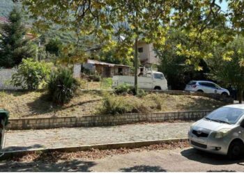 Vrasja e 62-vjeçares që jetonte e vetmuar në Janinë, nipi i dyshuari kryesor