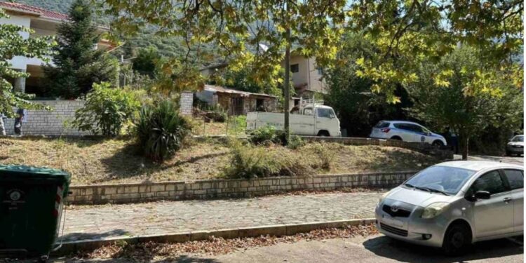 Vrasja e 62-vjeçares që jetonte e vetmuar në Janinë, nipi i dyshuari kryesor