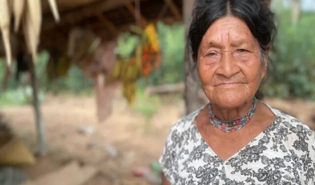 Jetojnë thellë në pyjet tropikale, komuniteti që ka habitur shkencëtarët