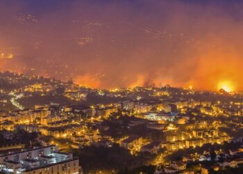 Zjarri masiv izolon Portugalinë prej disa ditësh, digjen 44 mijë hektarë