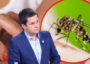 “Kemi mijëra të infektuar”, mjeku Alimehmeti ngre alarmin për ‘Ethet e Nilit!