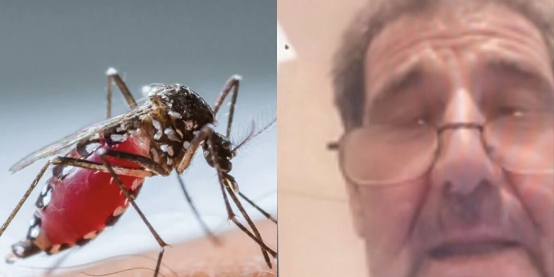 “Rashë si në koma”, pacienti zero me virusin e Nilit: Kisha dhimbje koke e temperaturë 40