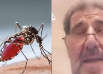 “Rashë si në koma”, pacienti zero me virusin e Nilit: Kisha dhimbje koke e temperaturë 40