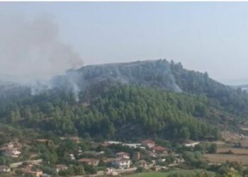 Vijon të jetë aktiv zjarri në kodrën e Lekajt në Lushnjë