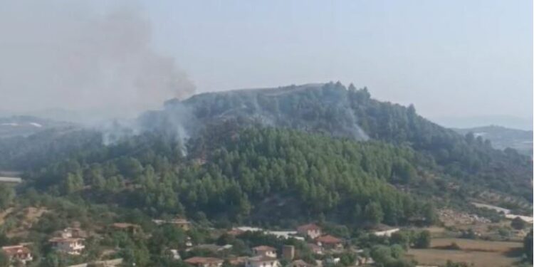 Vijon të jetë aktiv zjarri në kodrën e Lekajt në Lushnjë